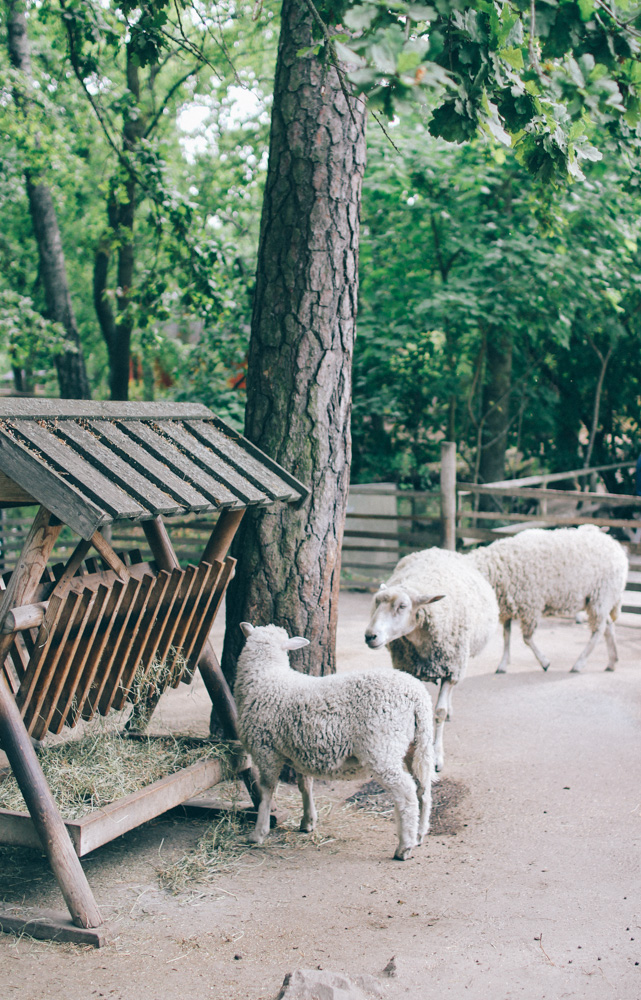 Skansen-21