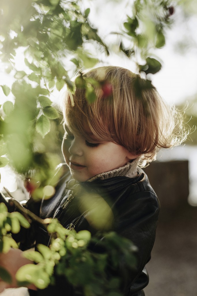 chaplin_hogupplost_007