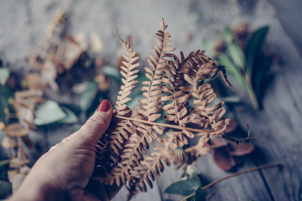 Lovely Life KatrinBaath 03378 Finast i veckan; tapet till barnrummet från Photowall, en resa till Köpenhamn och en workshop på Gotland