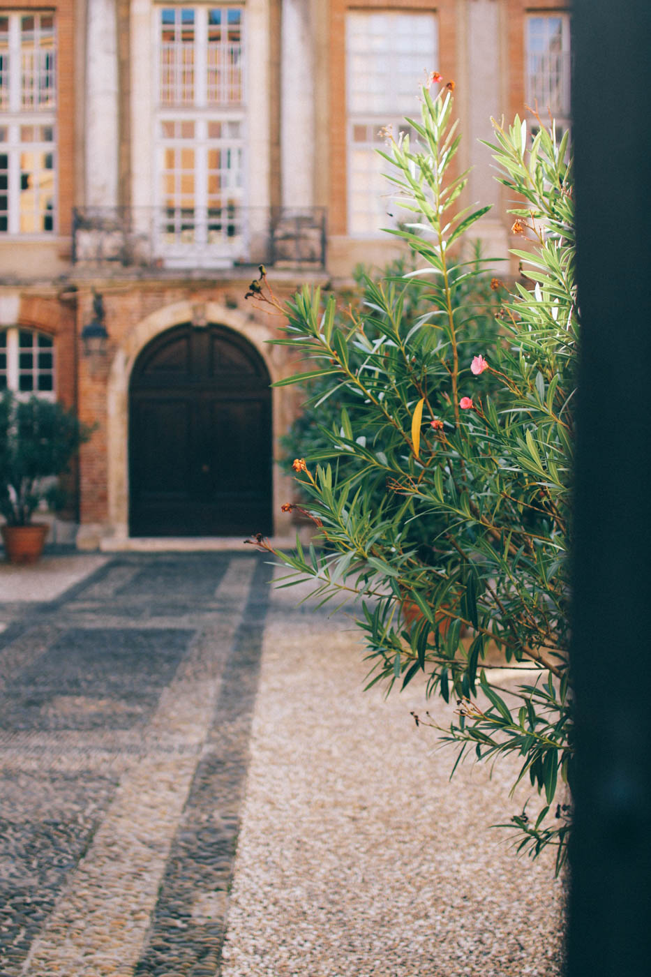 toulouse 29 Resan till Frankrike del 3; Toulouse