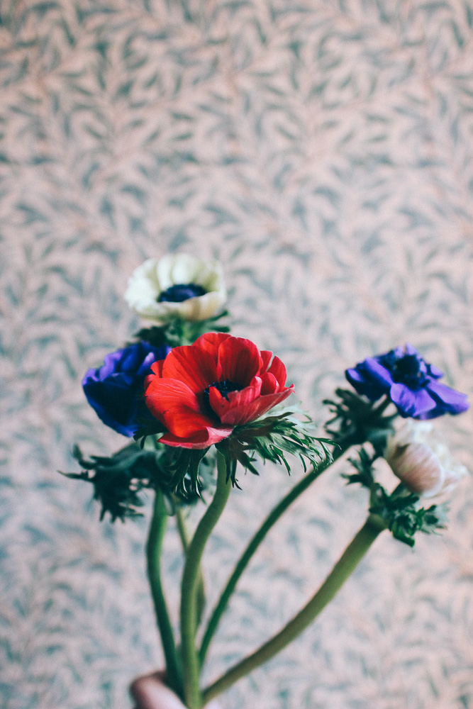 anemon 2 Hej fredag!