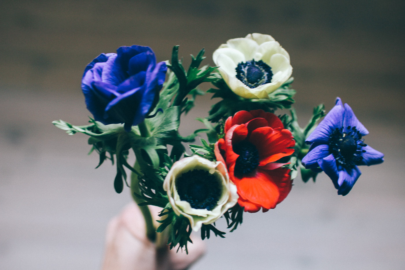 anemon 3 Hej fredag!