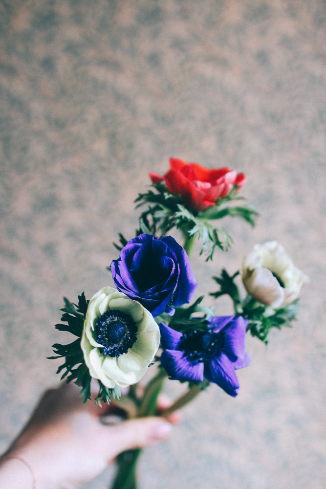 anemon 6 Hej fredag!