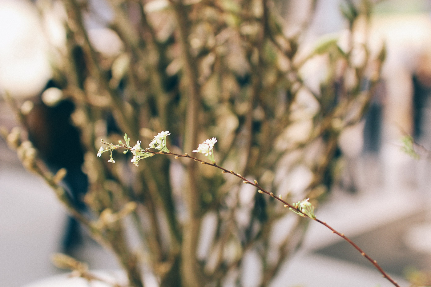 formex spring 2018 21 Formex, våren 2018