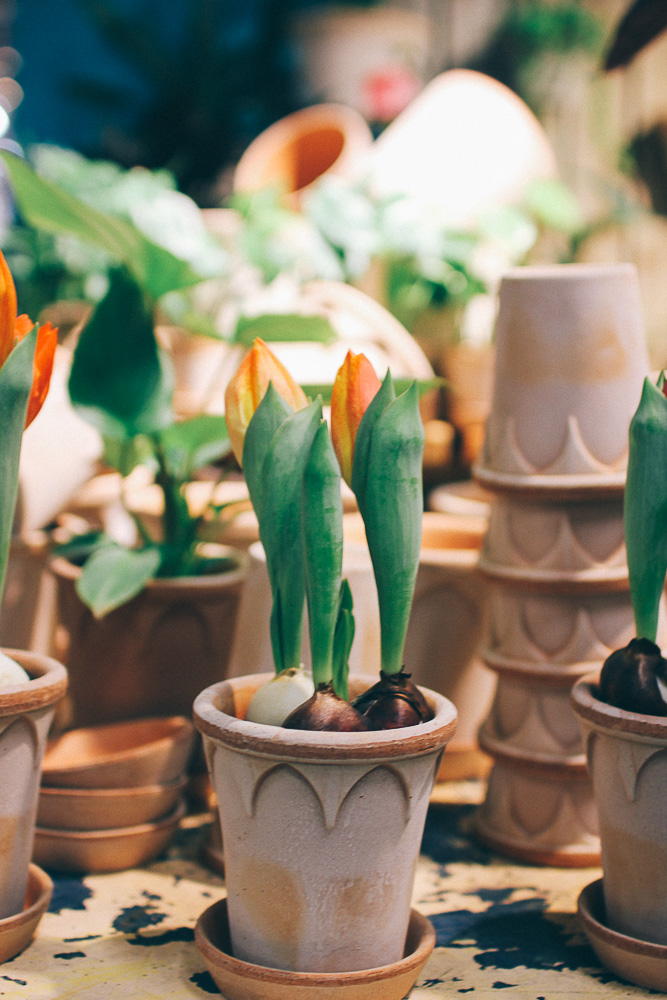 formex spring 2018 4 Formex, våren 2018