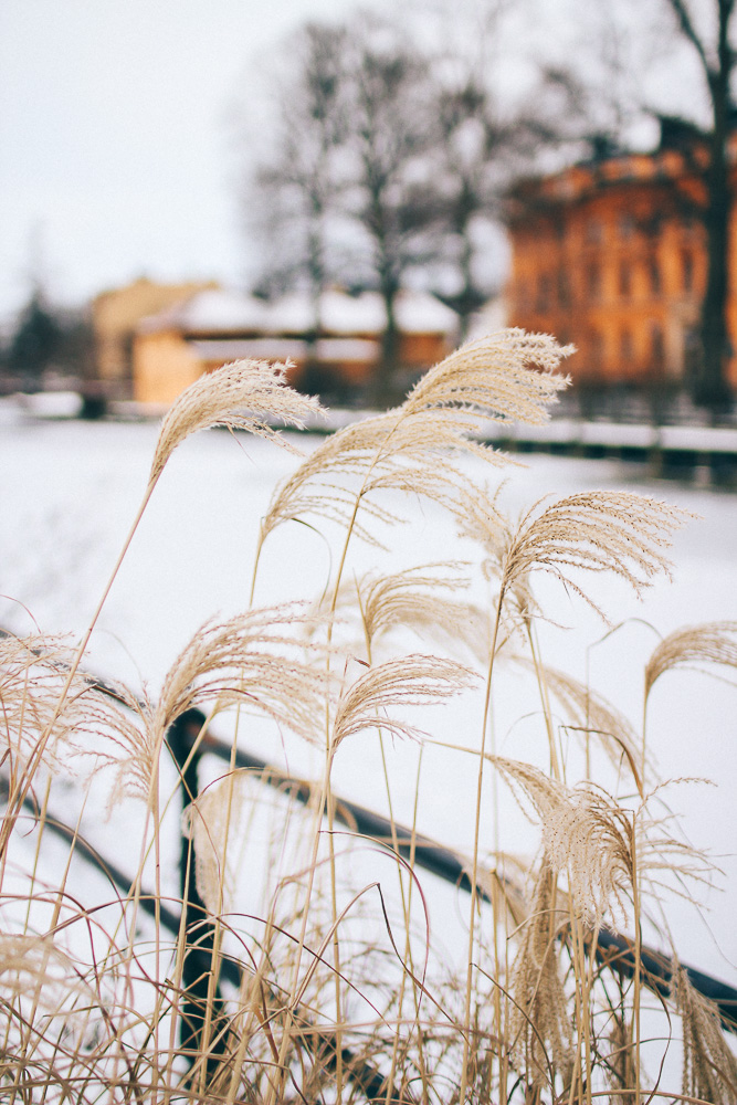 24 timmar i Uppsala 12 resa till uppsala
