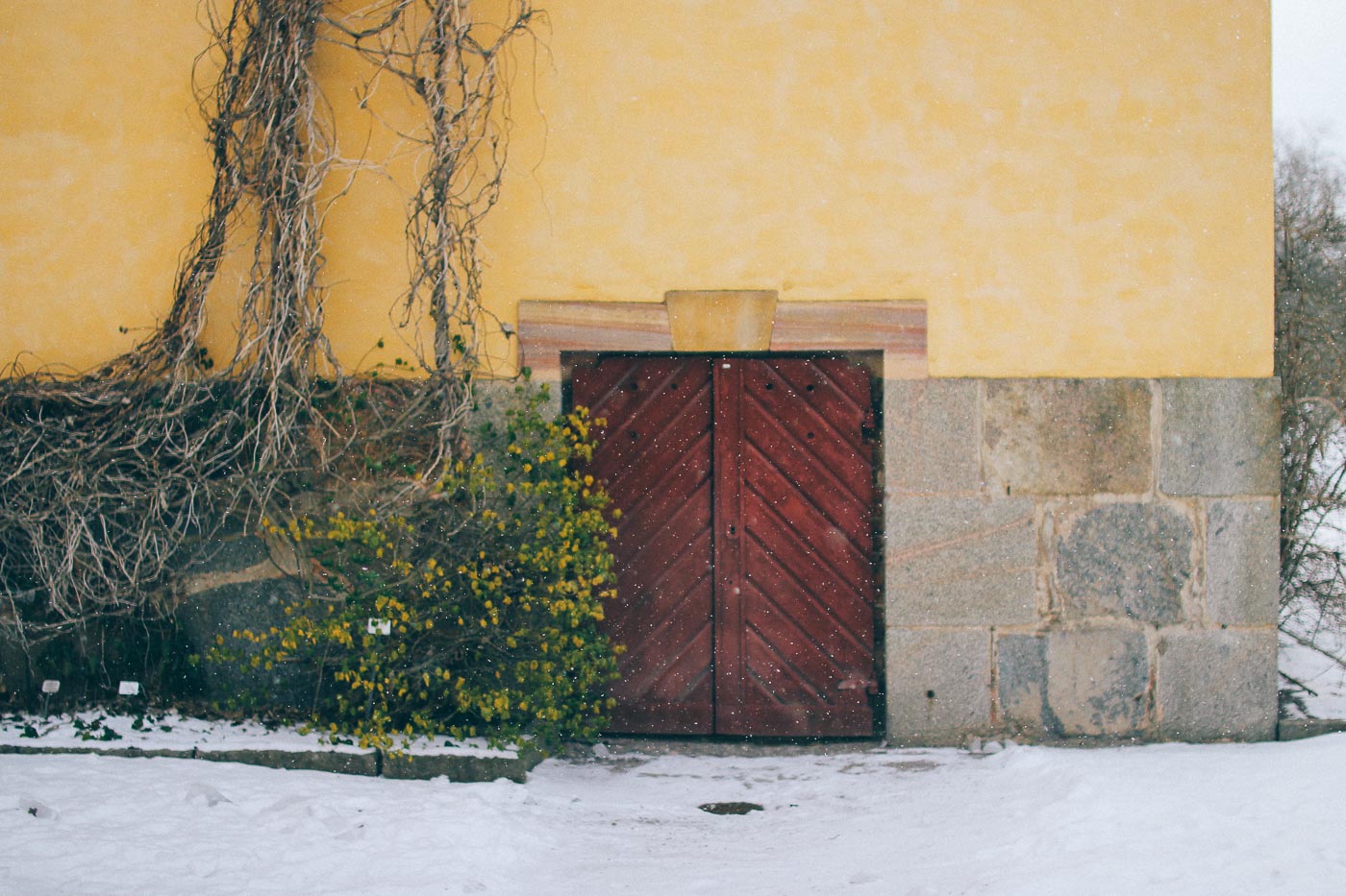 24 timmar i Uppsala 21 Uppsala Volang Linda 23 24 timmar i Uppsala