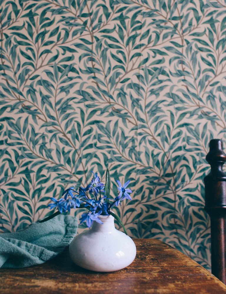 scilla blomma Vårens minsta fredagsbukett