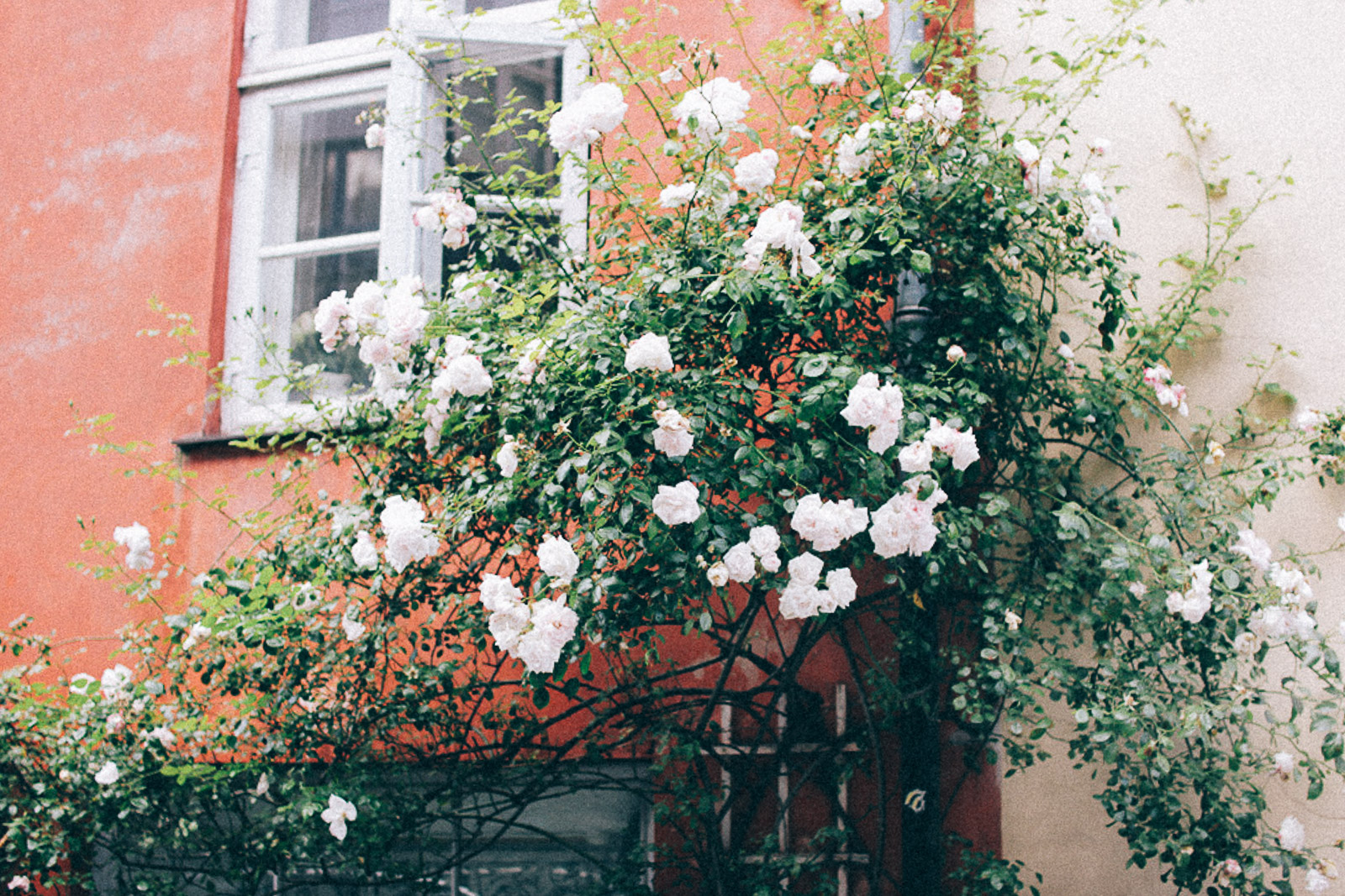 lovely life volang kopenhamn Lite om livet just nu