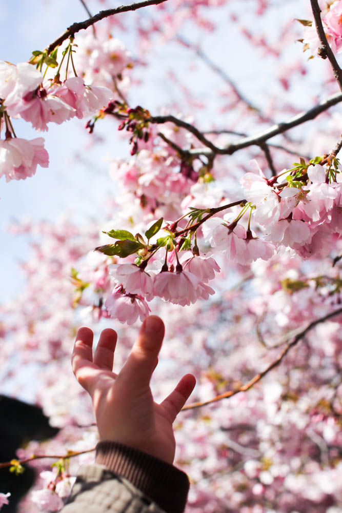 volang lovely life korsbarstrad kungstradgarden 3 saker jag ska göra i helgen