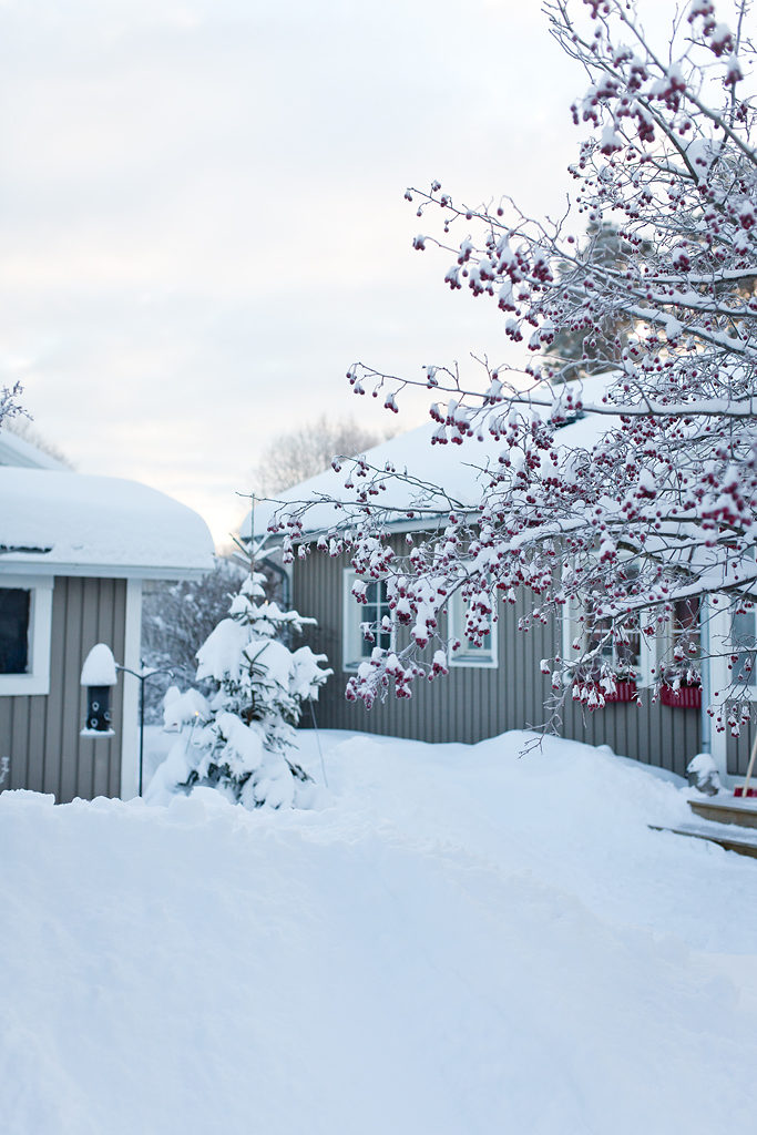 nyar 2017 0114 Tonvis med snö, hemvändarartikel och besök i ett fint hem