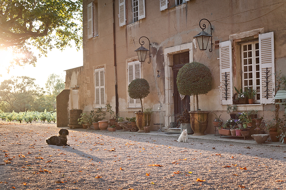Domaine le clos du Pavillon