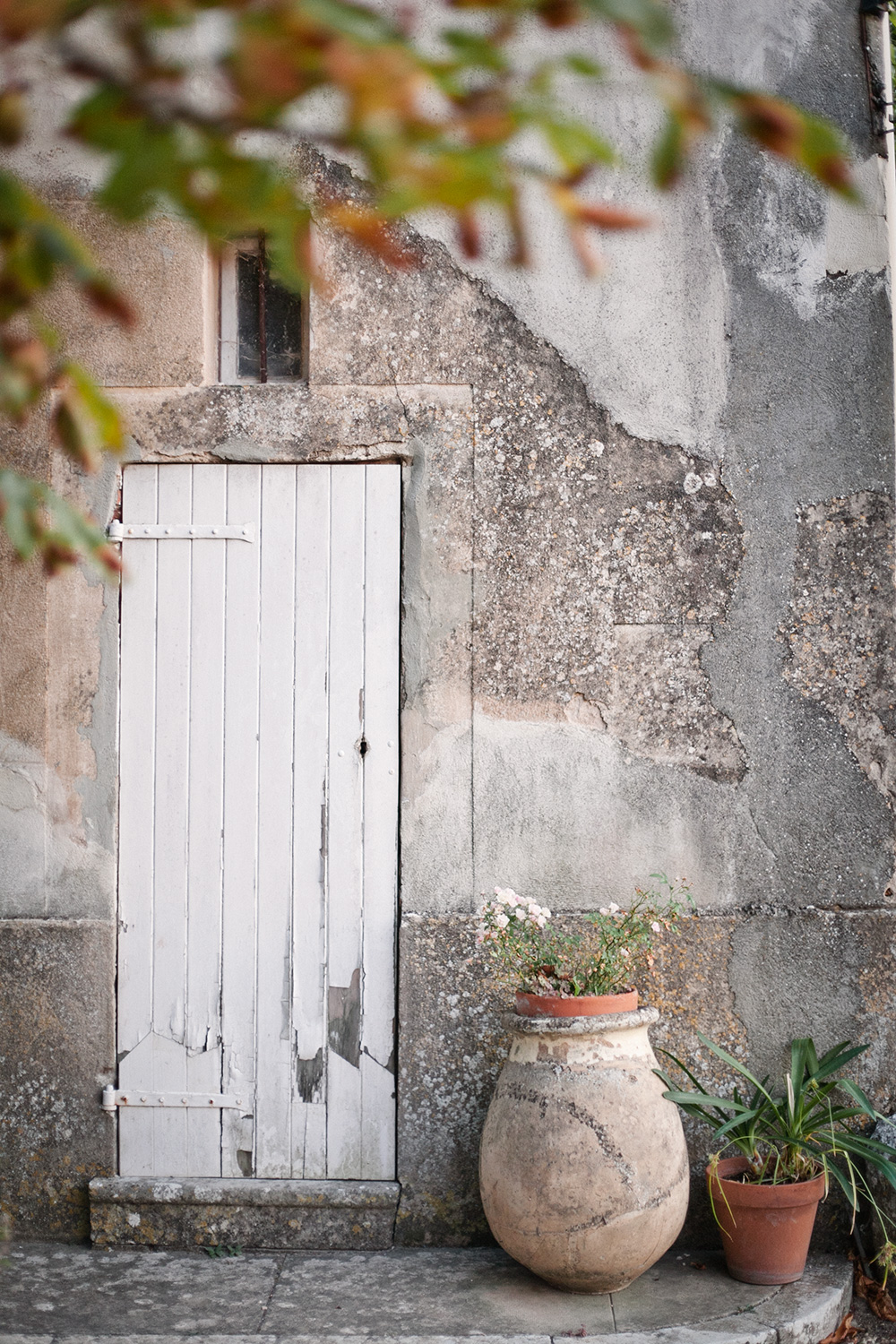 Jordens drömmigaste B&B i södra Frankrike 5 Domaine le clos du Pavillon
