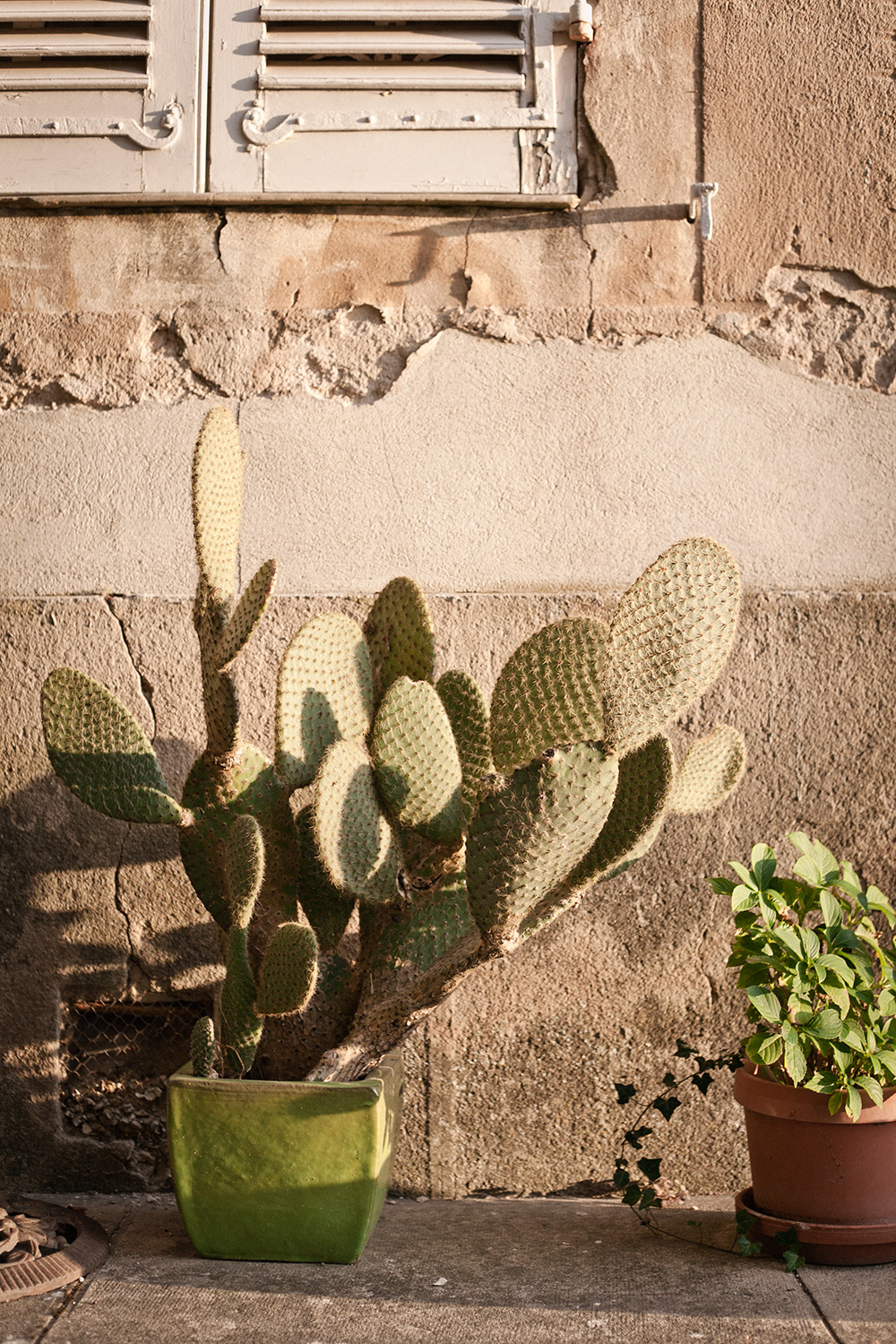 Domaine le clos du Pavillon