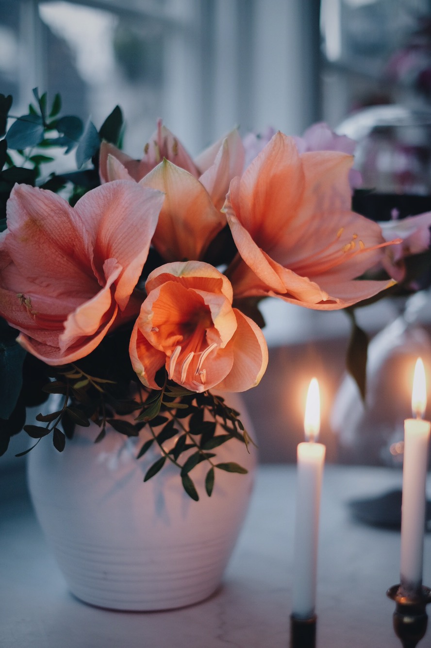 Emma amaryllis The Amaryllis Effect