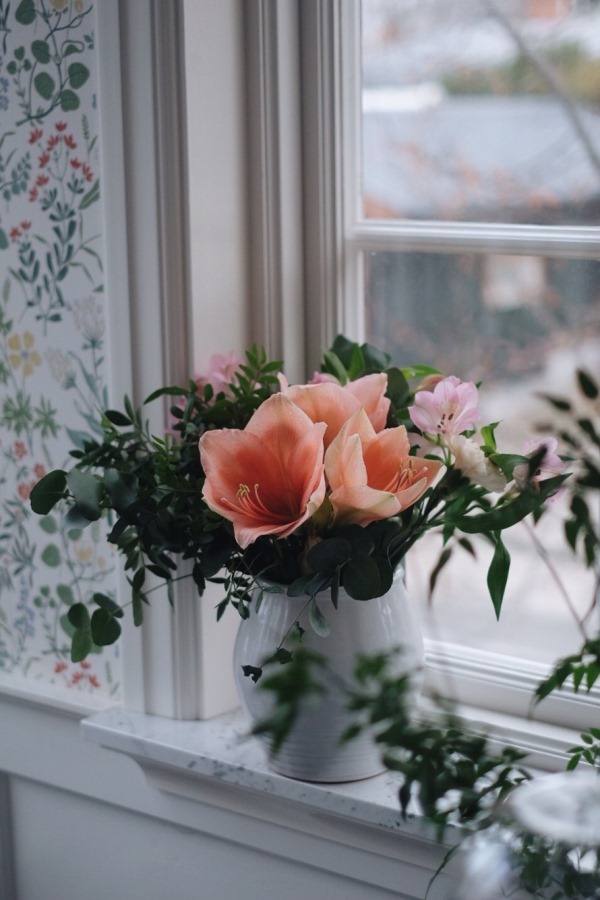 Emma amaryllis1 The Amaryllis Effect