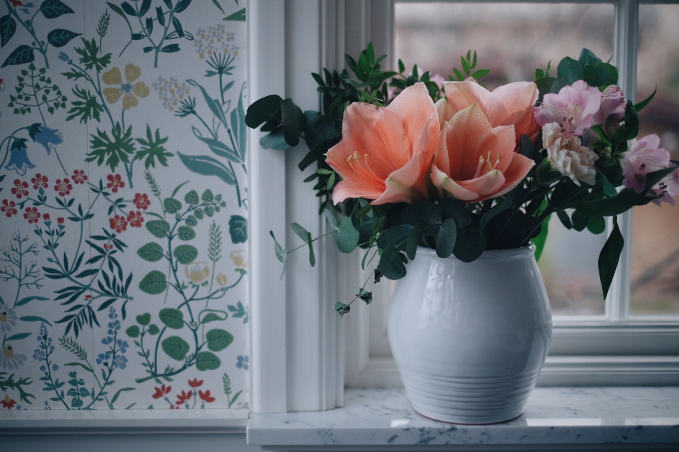 Emma amaryllis2 The Amaryllis Effect