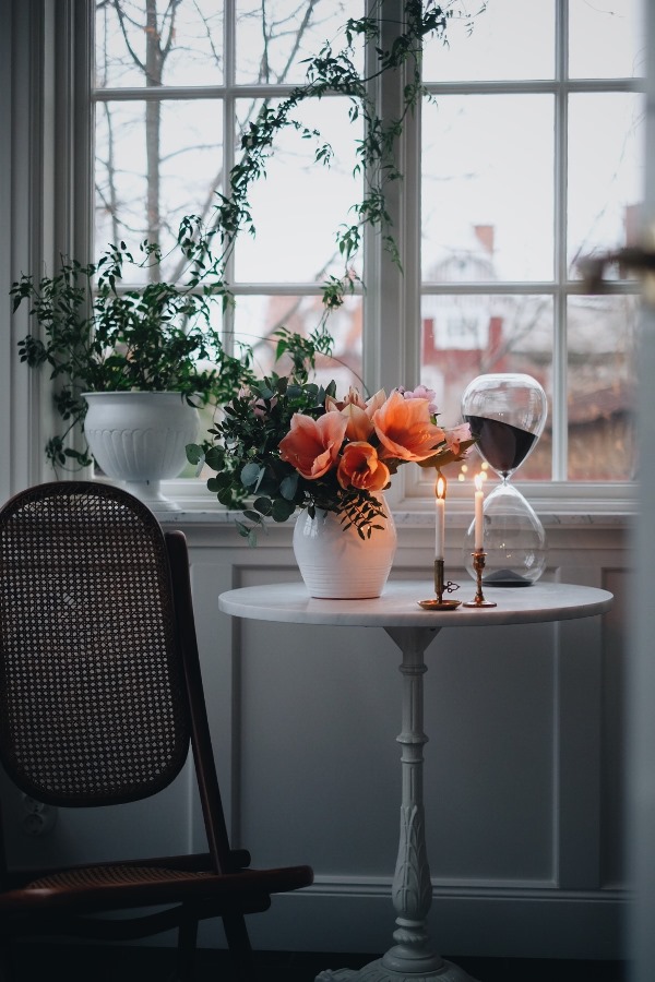 Emma amaryllis4 The Amaryllis Effect