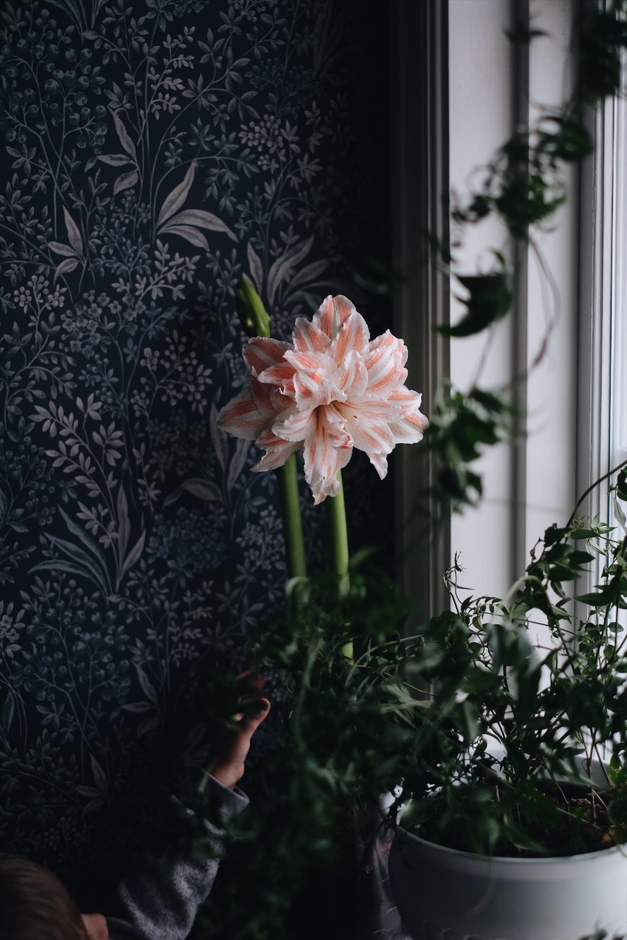 6AB411C5 C612 4131 BE21 54C66B4C299D En helg i några få bilder