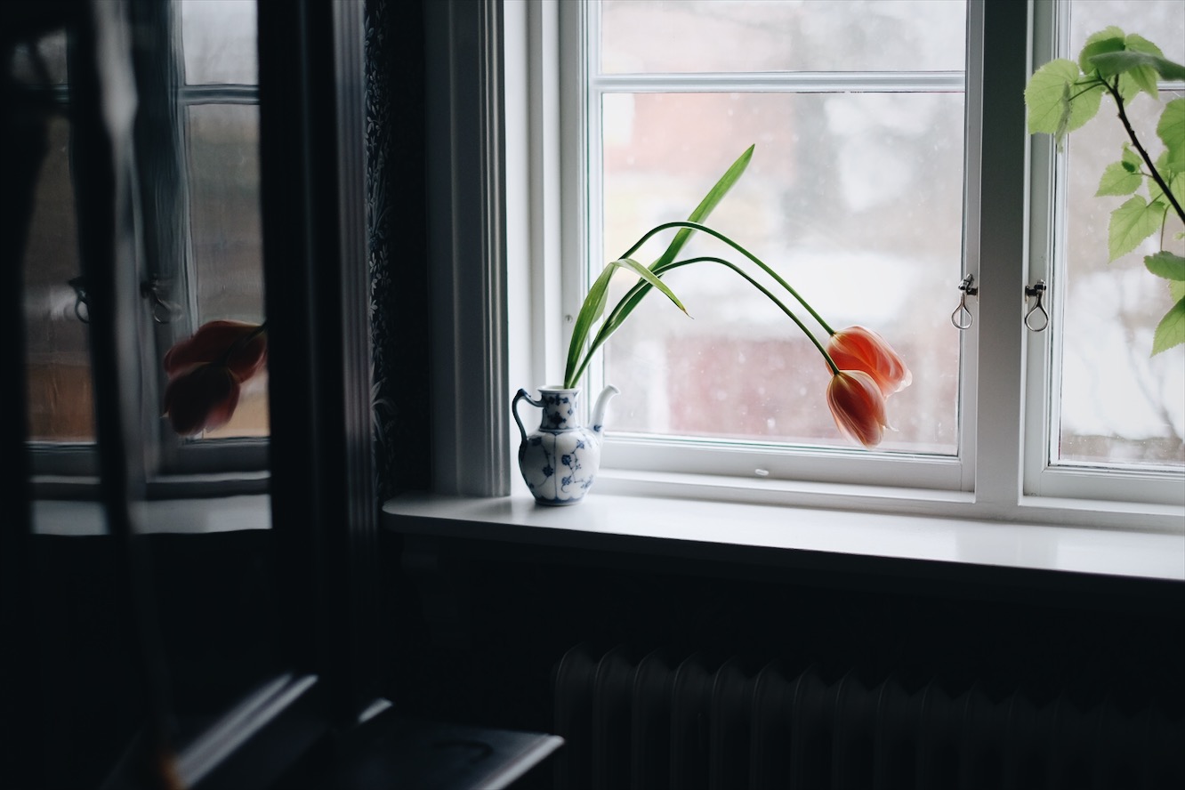 468EE831 D58B 4167 9B43 A9396D972506 Mitt semmelhat