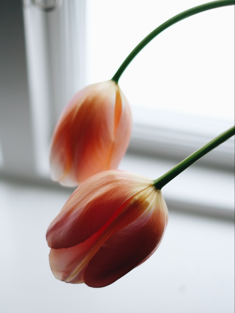 Mitt semmelhat 2 C5061D27 DA56 43F6 BAE3 BFC58CC3380B Mitt semmelhat