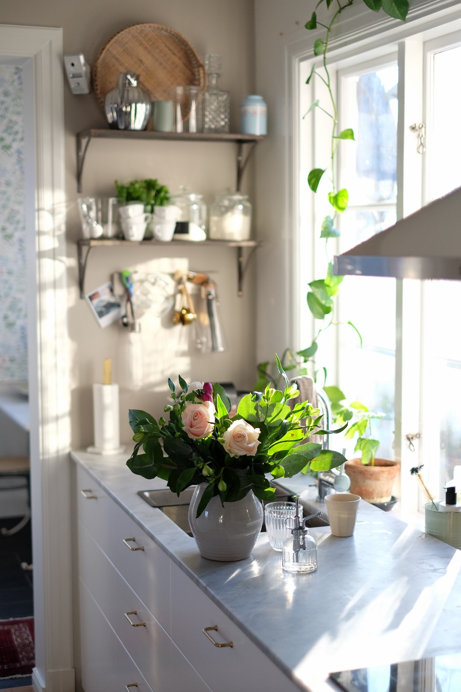 DSCF7411 Fredagsmorgon har guld i mund