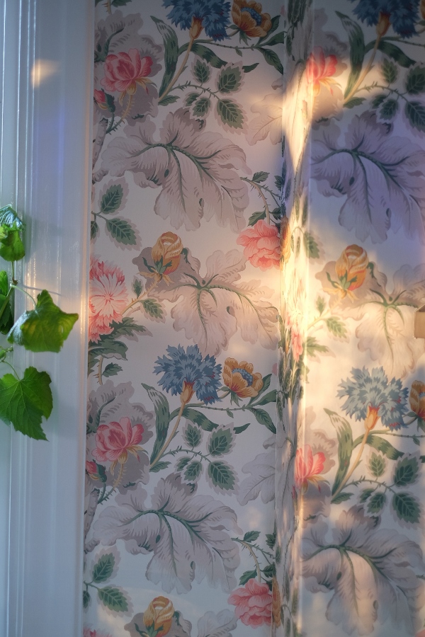 IMG 9418 Lampdrömmar