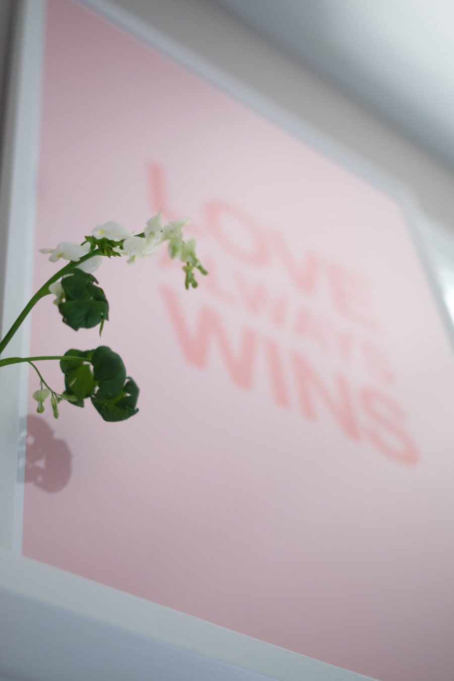 0F86D36E 3D1C 44CB B8C6 9A84F7D08727 e1526235207867 Dear Sam - jag gillar dig!