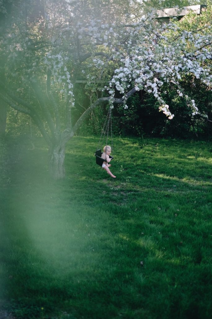 195E2971 10AA 4688 ABC0 CCF71A5976D8 Livet genom äppelblom