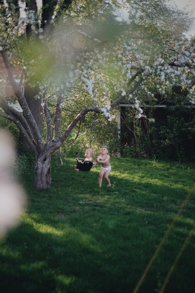 24D80EDC 63DC 48D5 8CFB E2E0A28D6C63 Livet genom äppelblom