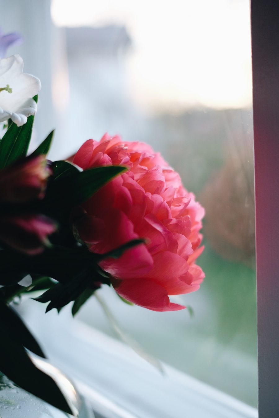 5773A3E4 068A 4CA0 9A28 F14A5FDEAE43 e1525467962282 Varde ljus