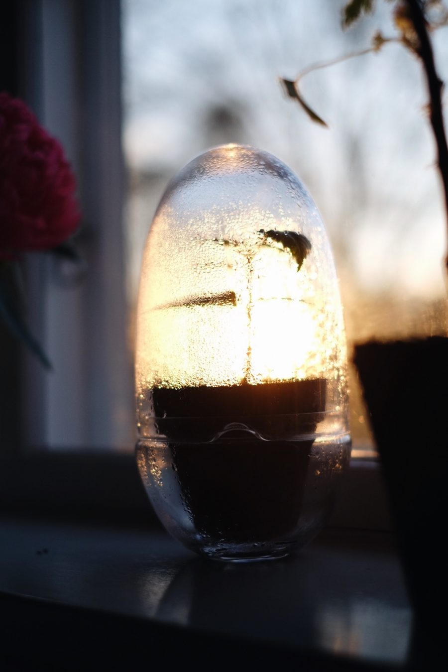 758FCD9C 76B4 4161 9508 A6FE135699F8 e1525467728129 Varde ljus