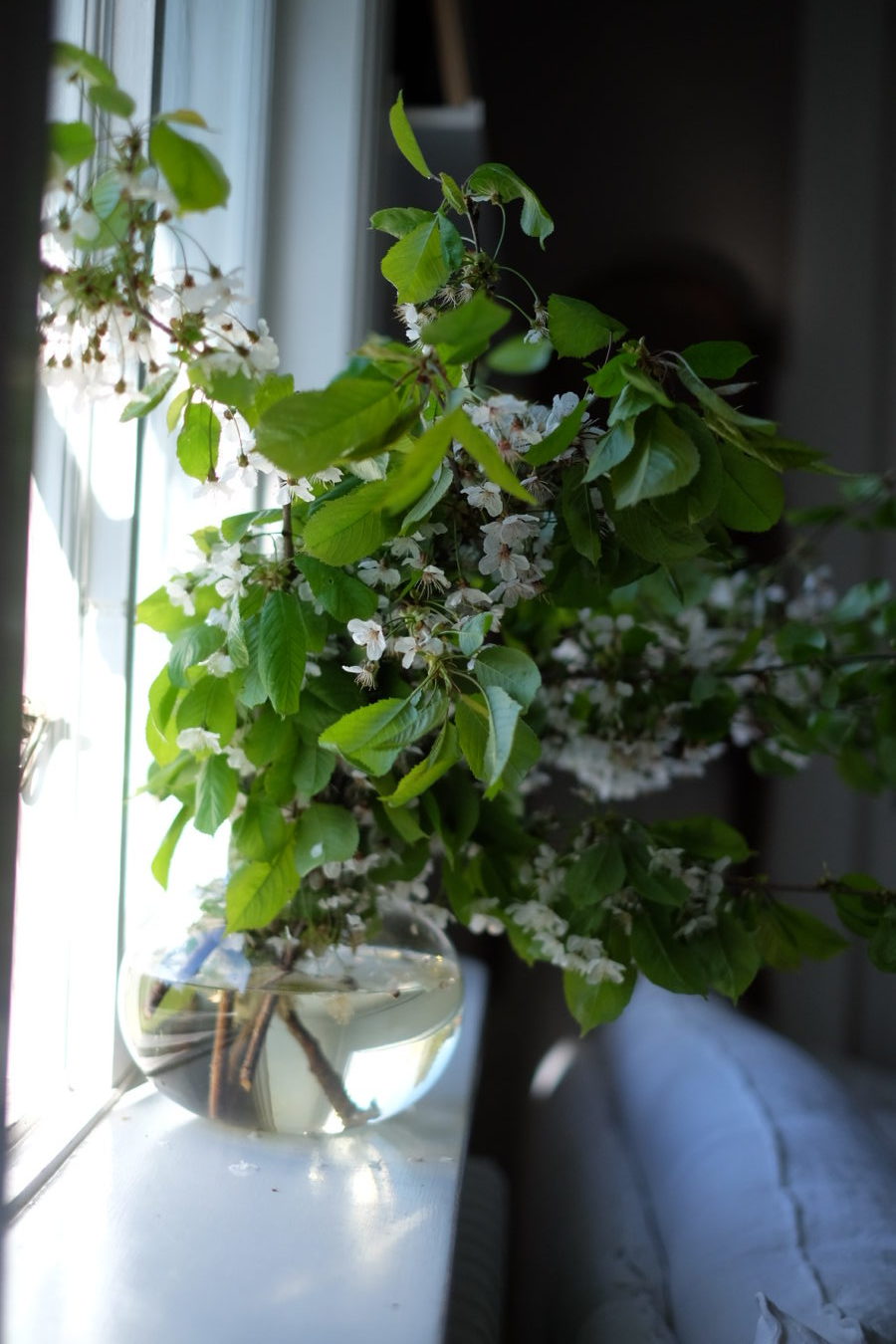 A8701CF4 1AD9 4445 BC82 21046AB25894 e1526235117558 Dear Sam - jag gillar dig!