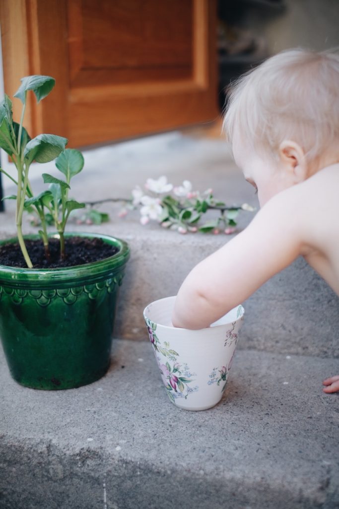 D86D951A 488A 4CE6 BB38 6CCBA8446EE5 Livet genom äppelblom