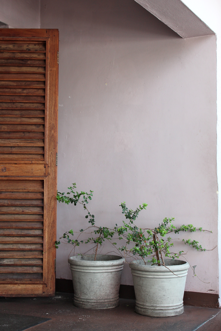 tantjohanna_sydafrika1