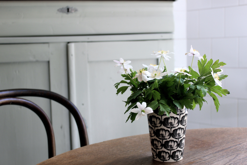 tantjohanna_vitsippor