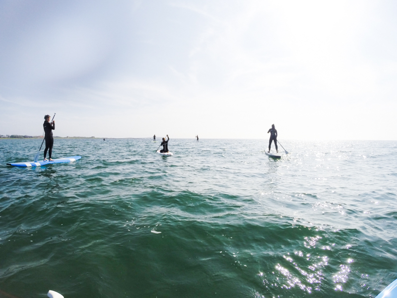 kustliv varberg sommar kristin lagerqvist 0318 #kustliv