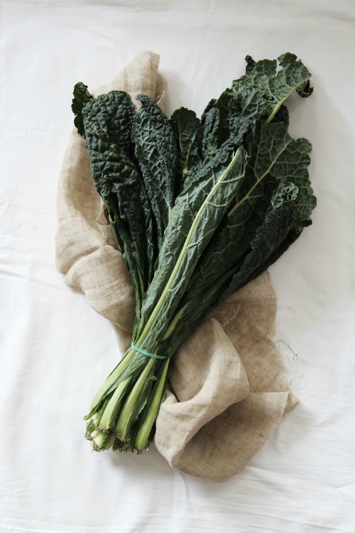 af1797906b598901536d41ba1cf575fd