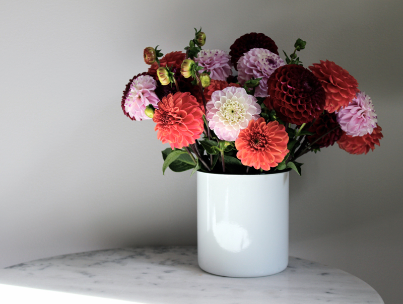 tantjohanna_dahlia_15sept2015