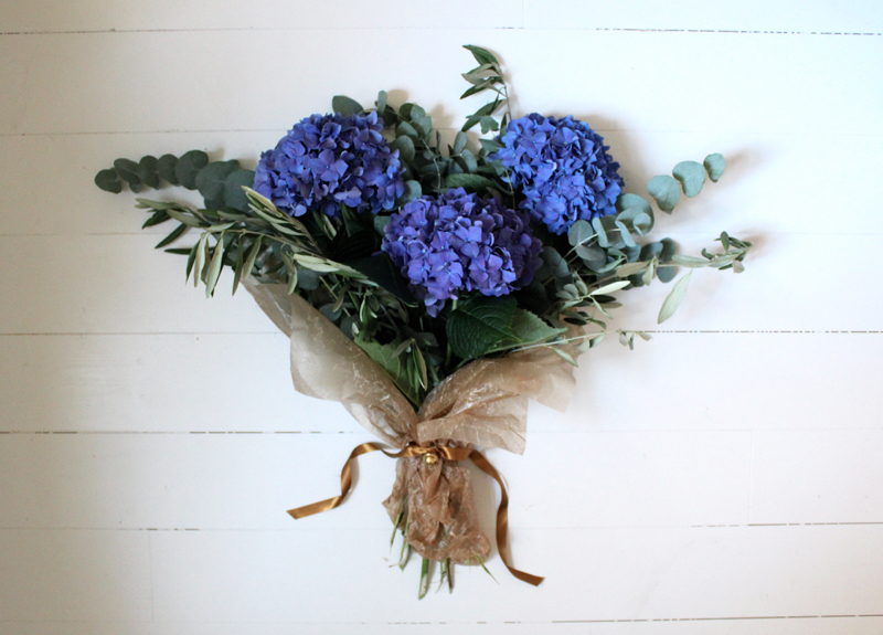 Birdview wednesday 3 tantjohanna_hortensia