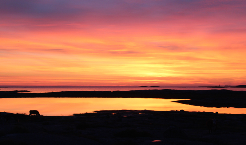 tantjohanna_solnedgang_15sept2015