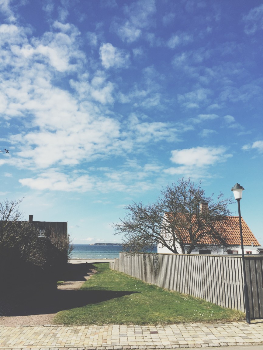 Processed with VSCOcam with t1 preset
