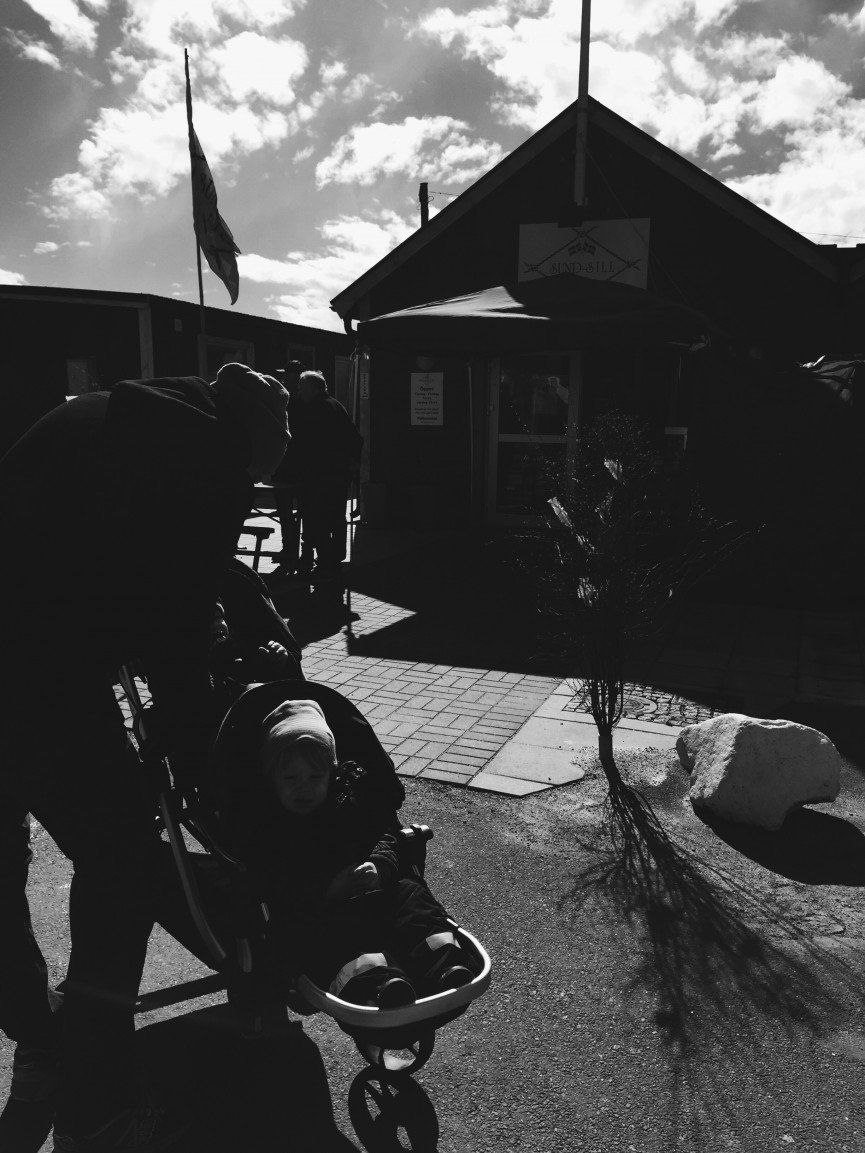 Processed with VSCOcam with b5 preset