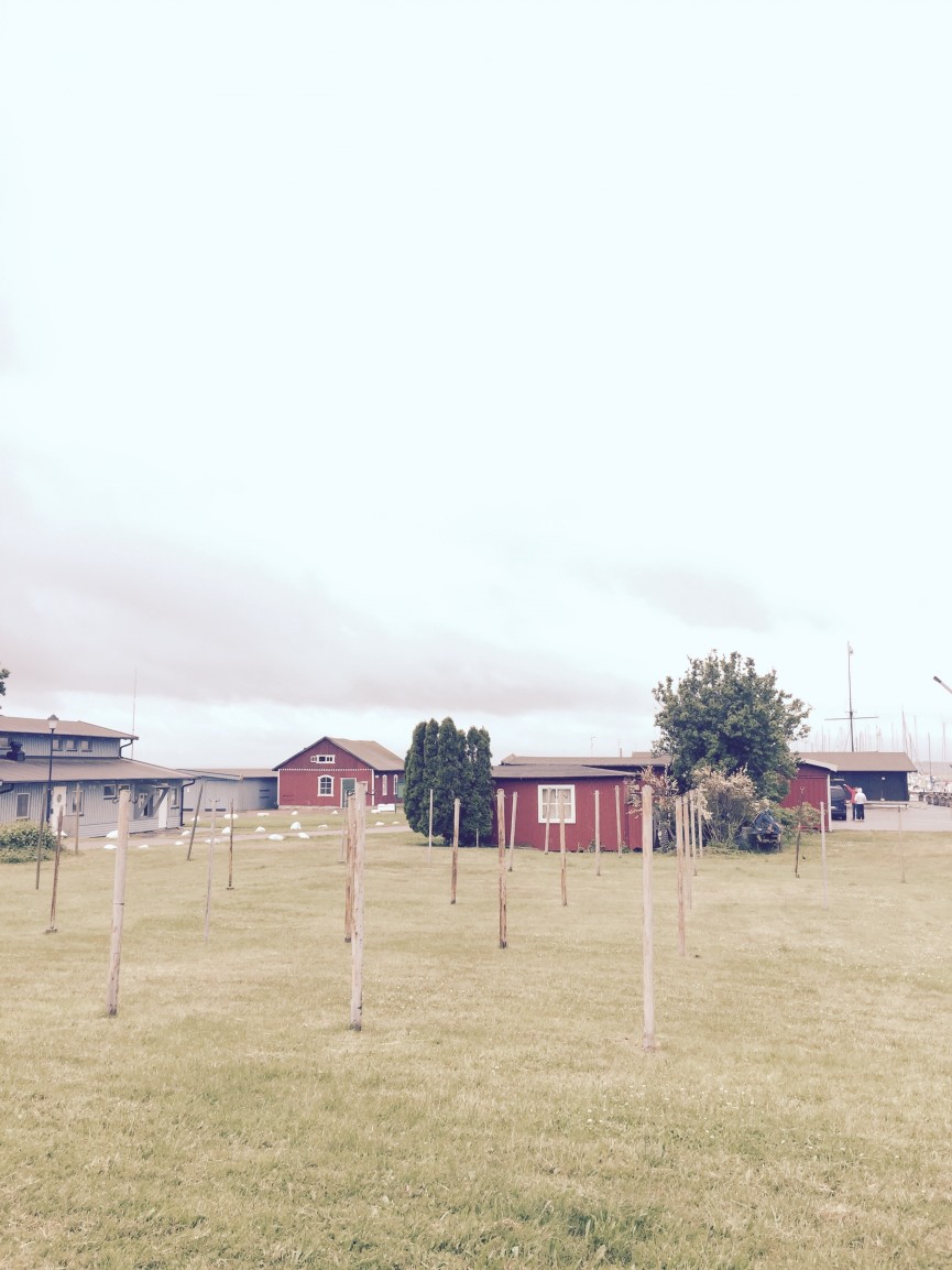 midsommarmvh2