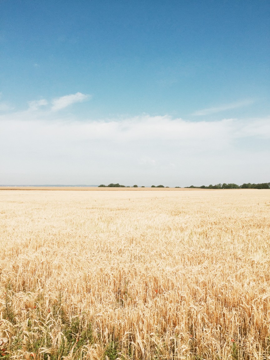 Processed with VSCOcam with j6 preset