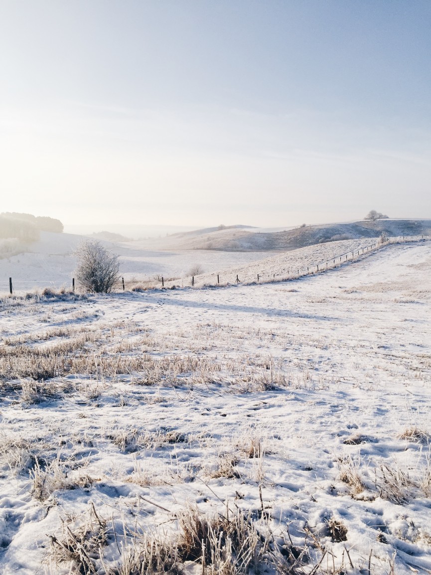 Processed with VSCOcam with hb1 preset