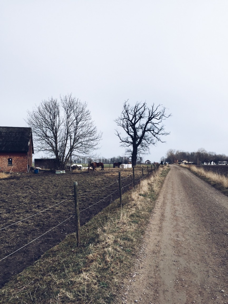 Processed with VSCO with a5 preset