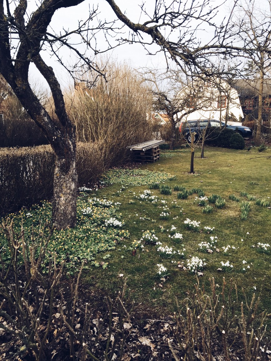 Processed with VSCO with a5 preset