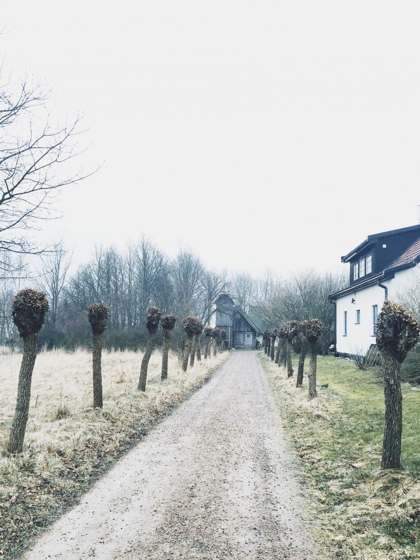Processed with VSCO with a8 preset
