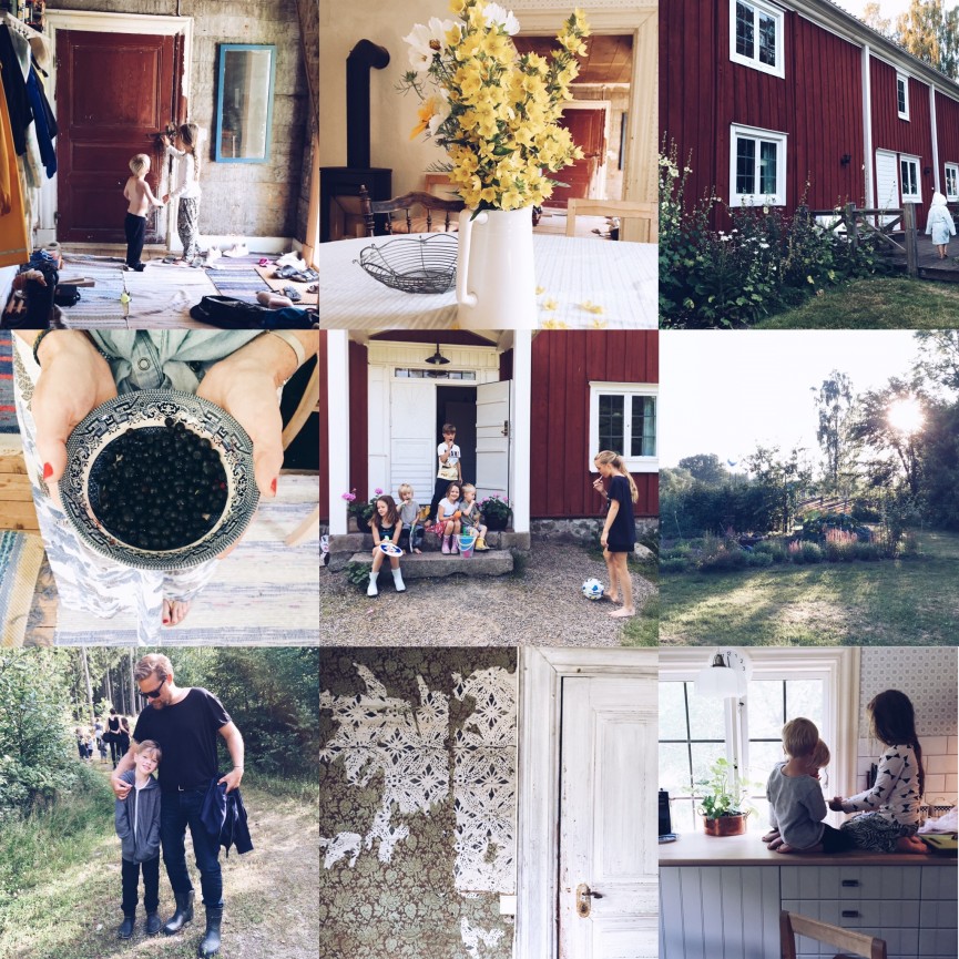 Mvh sverige collage